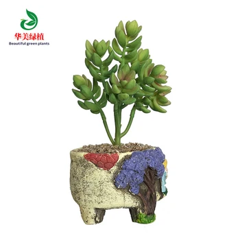 Имитация на сочни растения бонзай жилав stonecrop, Без саксия Натурален изкуствени цветя, нарцис кактус