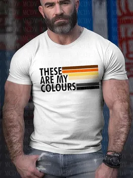 Мъжка тениска с принтом Bear These Aer My Colours, Ежедневни тениски с принтом, Цветна тениска с принтом The Best He Him Hole LGBT3D